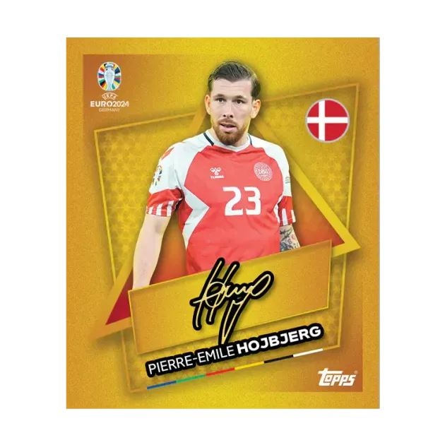 Official Euro 2024 Sticker Collection Multipack | Pekto